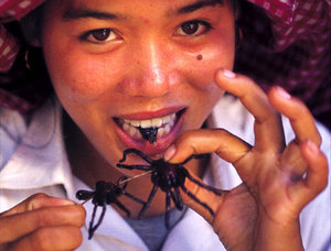 UN Says Eating Insects Will Make You Healthier. Why?