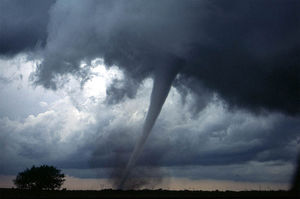 Oklahoma Tornado Wreaks Havoc: Kills 51, Including 20 Children